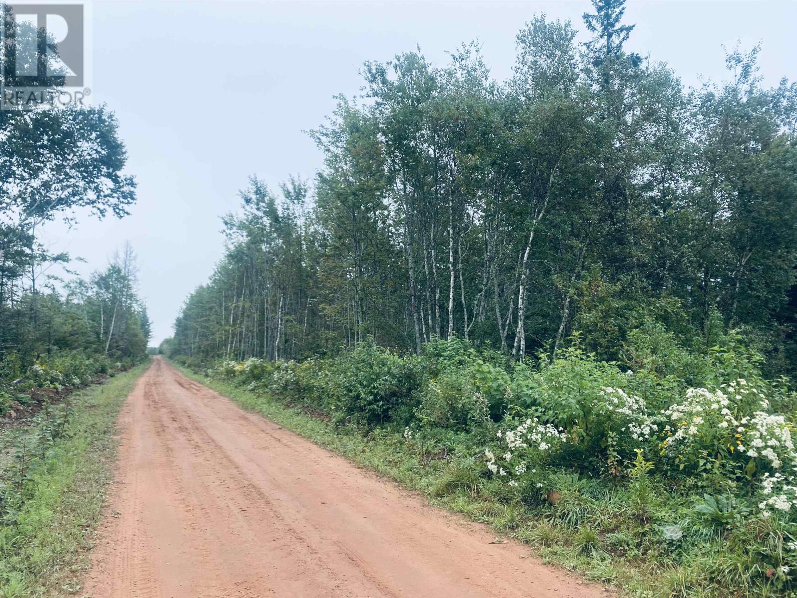 Lot Seven Mile Road, Route 4, Cardross, Prince Edward Island  C0A 1G0 - Photo 28 - 202318616