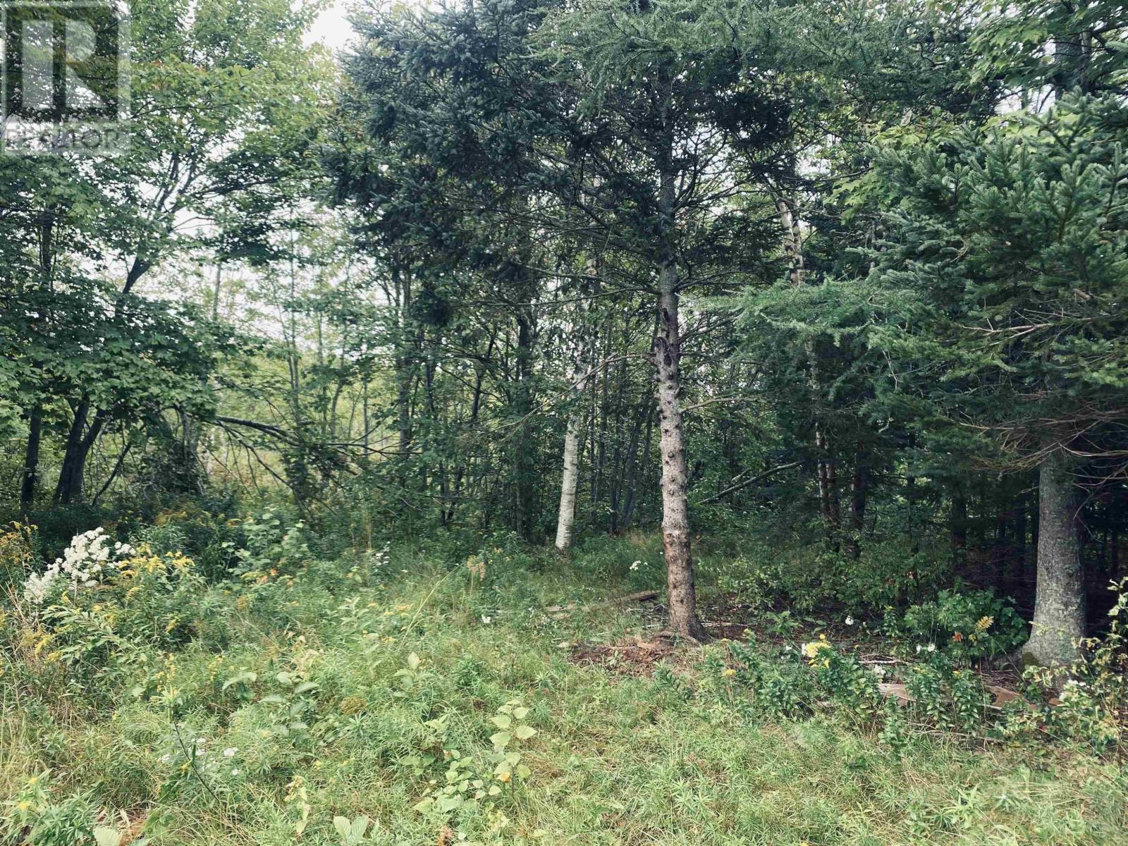 Lot Seven Mile Road, Route 4, Cardross, Prince Edward Island  C0A 1G0 - Photo 29 - 202318616