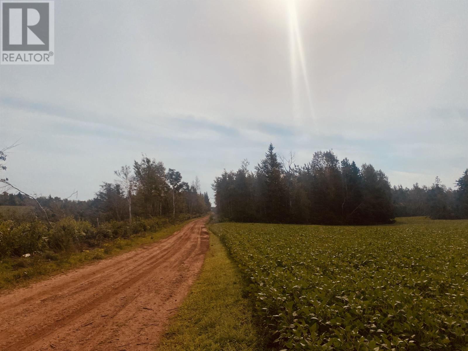 Lot Seven Mile Road, Route 4, Cardross, Prince Edward Island  C0A 1G0 - Photo 5 - 202318616