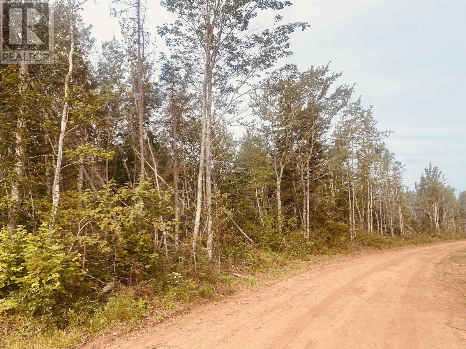 Lot Seven Mile Road, Route 4, Cardross, Prince Edward Island  C0A 1G0 - Photo 6 - 202318616