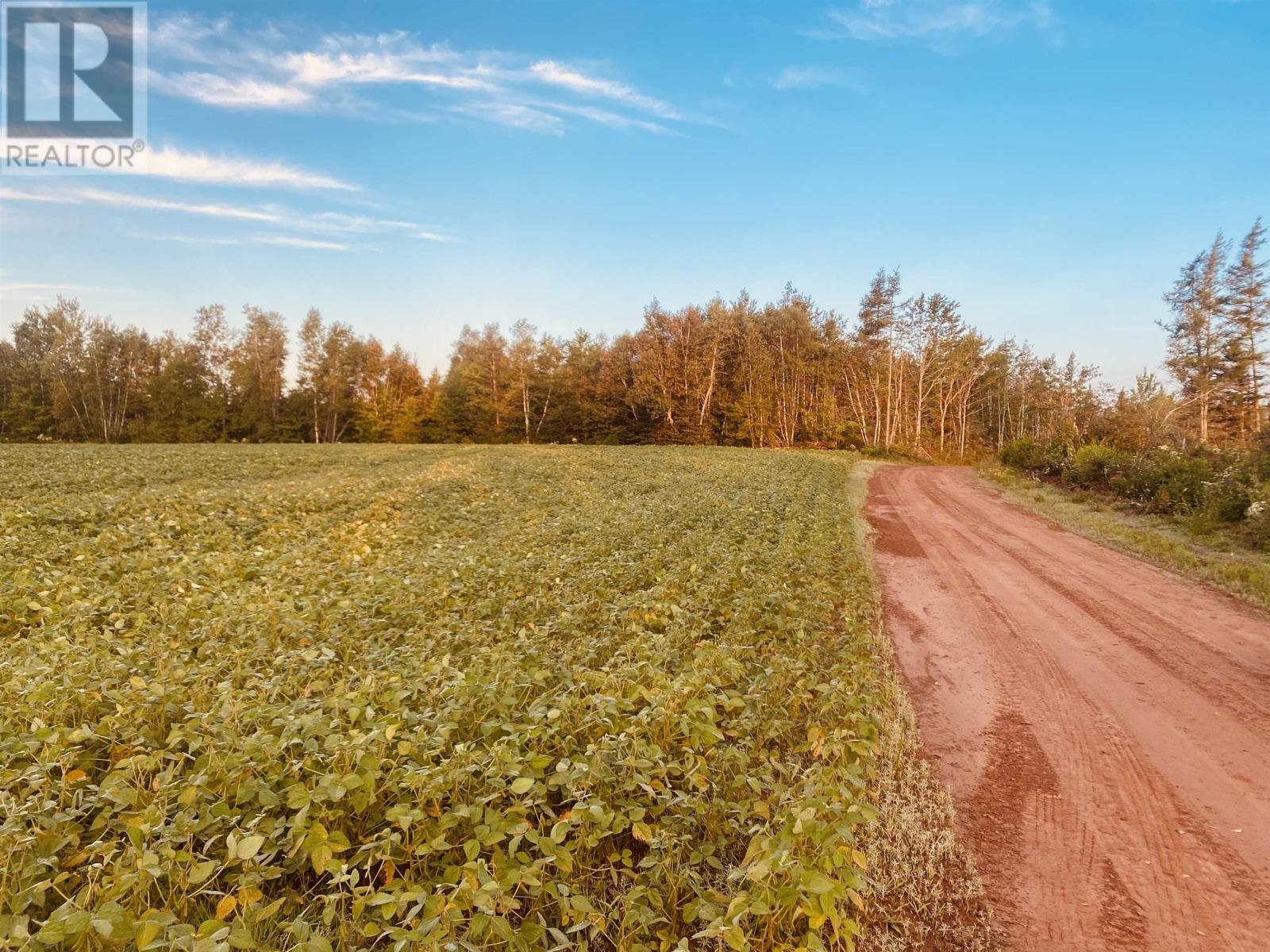 Lot Seven Mile Road, Route 4, Cardross, Prince Edward Island  C0A 1G0 - Photo 7 - 202318616