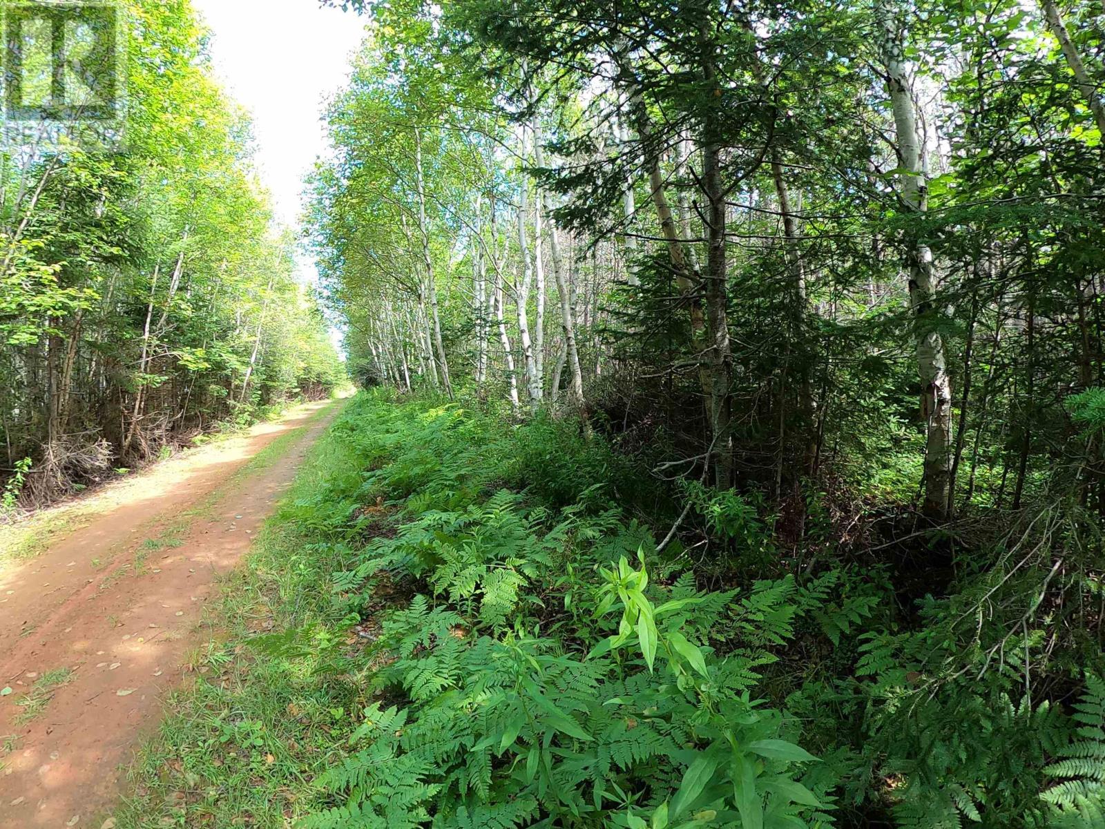 Lot 19 Swallow Point Road, Goose River, Prince Edward Island  C0A 2A0 - Photo 11 - 202318677