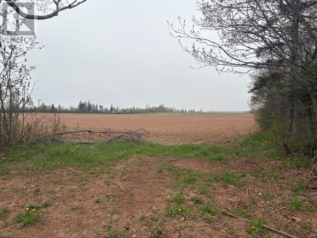 Wharf Road, Long River, Prince Edward Island  C0B 1M0 - Photo 3 - 202400778