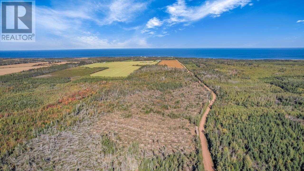 Acreage Turret Bell Road, Cable Head West, Prince Edward Island  C0A 2A0 - Photo 10 - 202402682