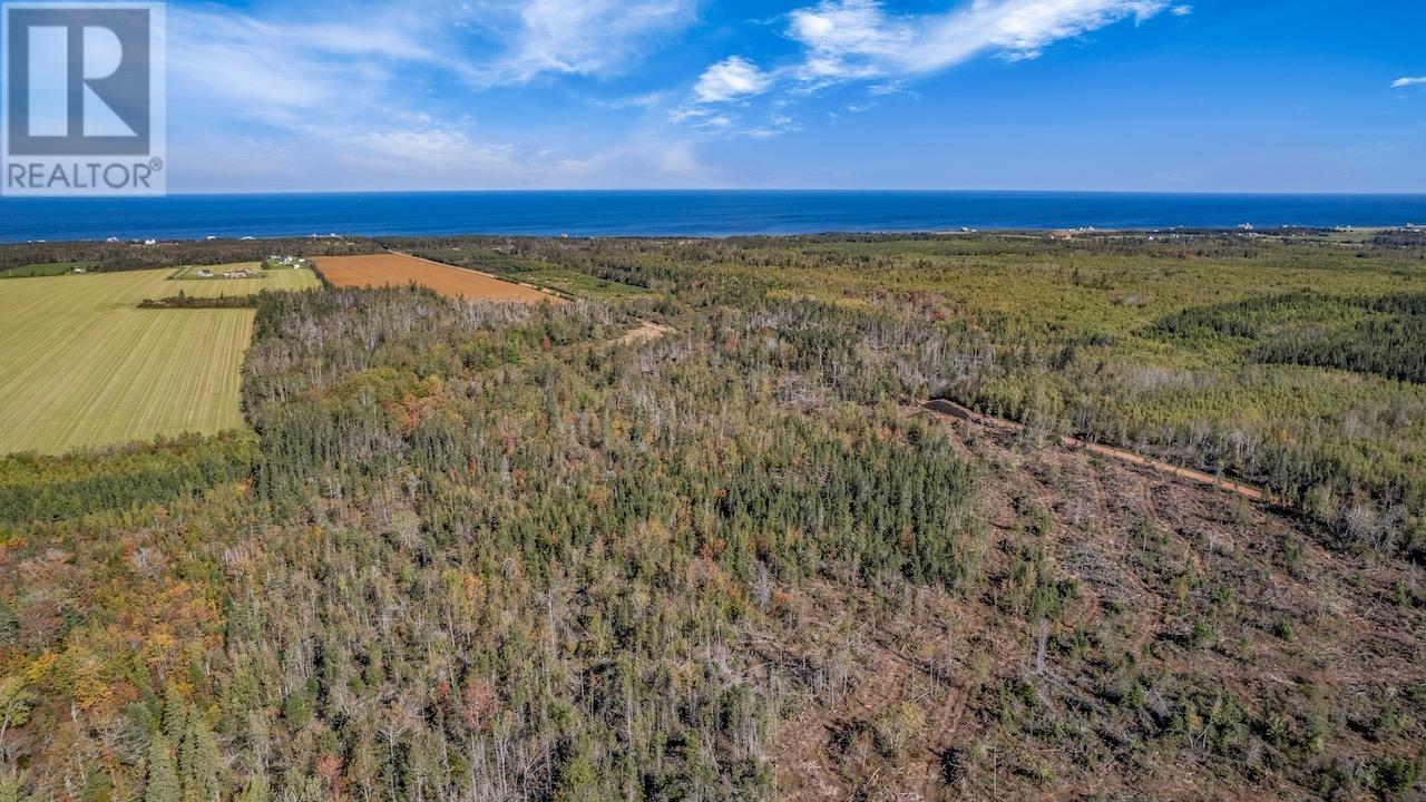 Acreage Turret Bell Road, Cable Head West, Prince Edward Island  C0A 2A0 - Photo 14 - 202402682