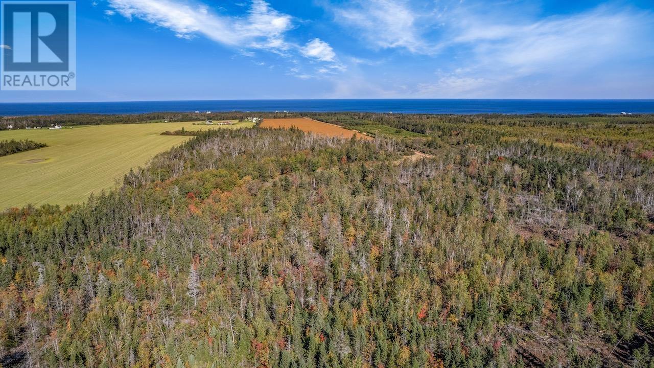 Acreage Turret Bell Road, Cable Head West, Prince Edward Island  C0A 2A0 - Photo 15 - 202402682