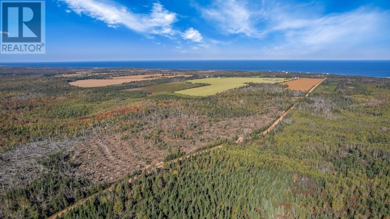 Acreage Turret Bell Road, Cable Head West, Prince Edward Island  C0A 2A0 - Photo 17 - 202402682
