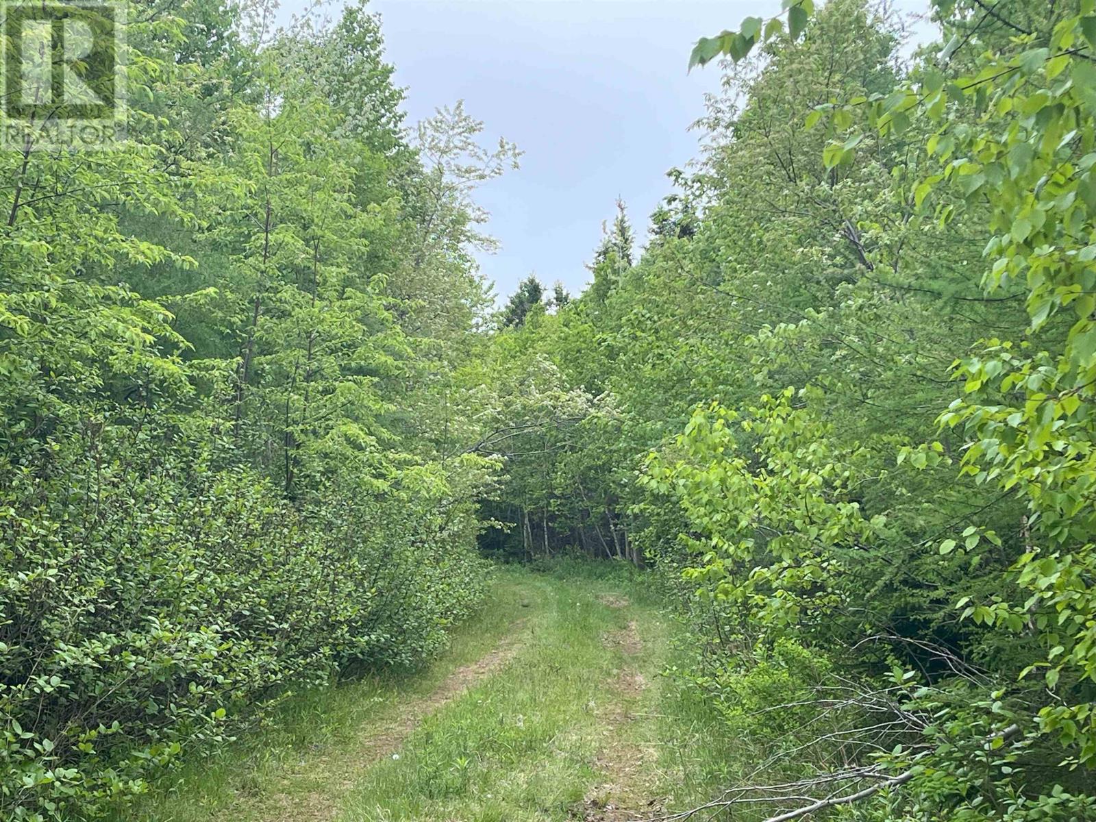 Lot 27 Light House Lane, Launching, Prince Edward Island  C0A 1G0 - Photo 19 - 202405173