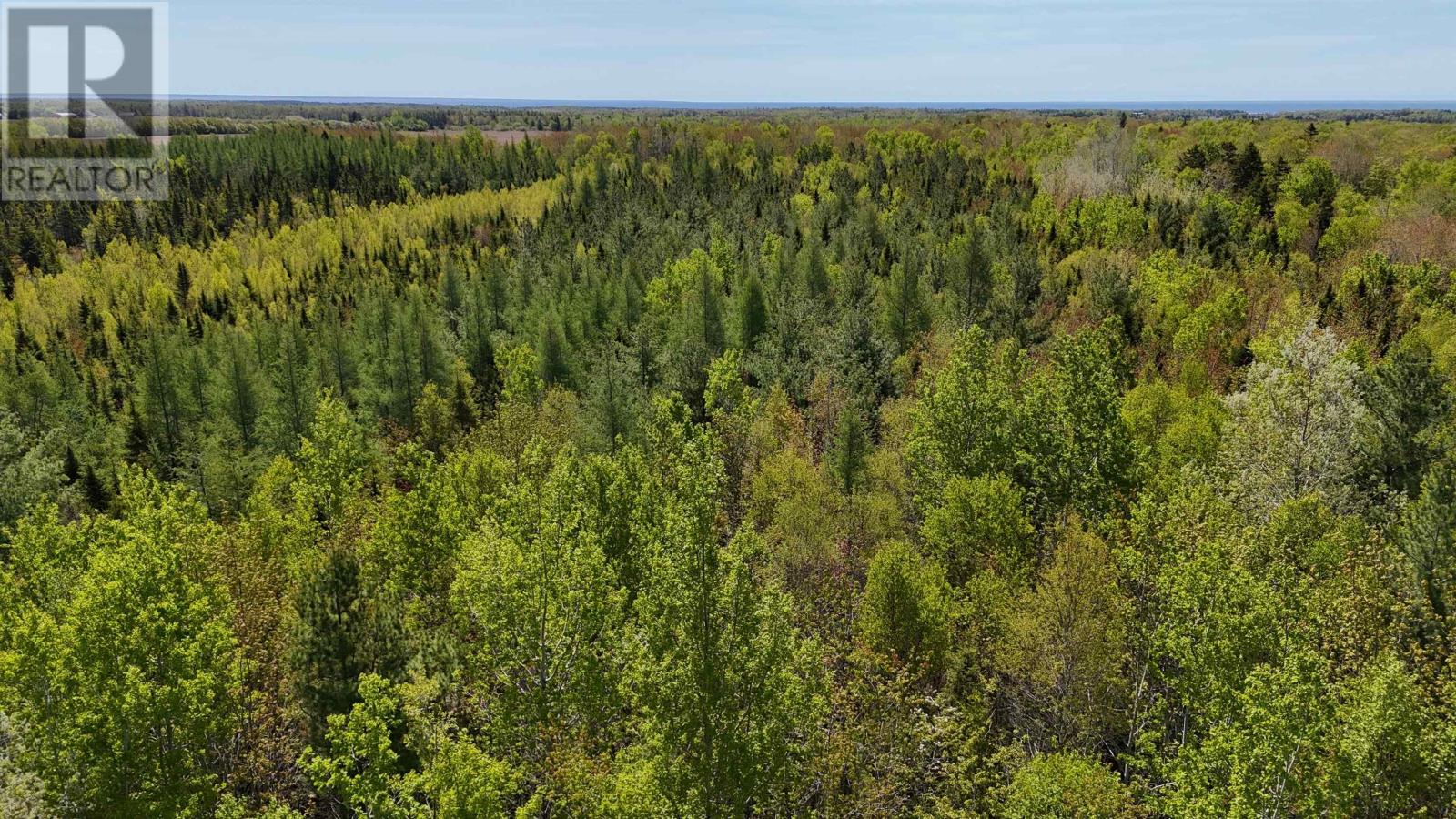 Glenwood, Glenwood, Prince Edward Island  C0B 1H0 - Photo 11 - 202420864