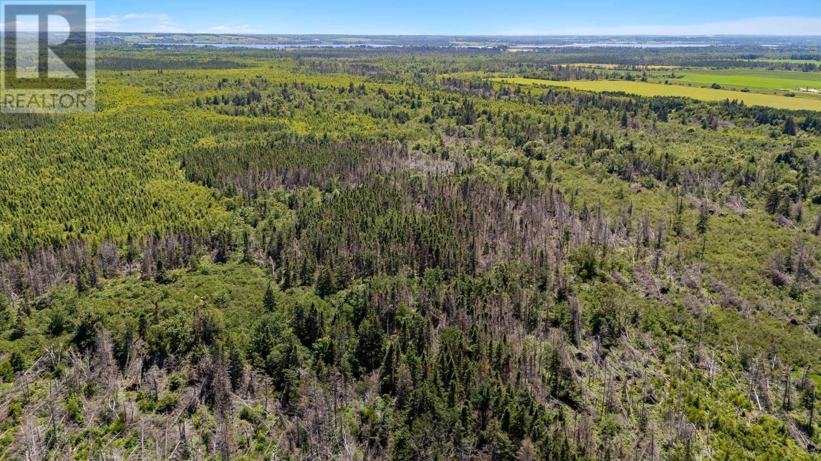 Acreage Cable Head West, Route 336, Cable Head West, Prince Edward Island  C0A 2A0 - Photo 14 - 202423539