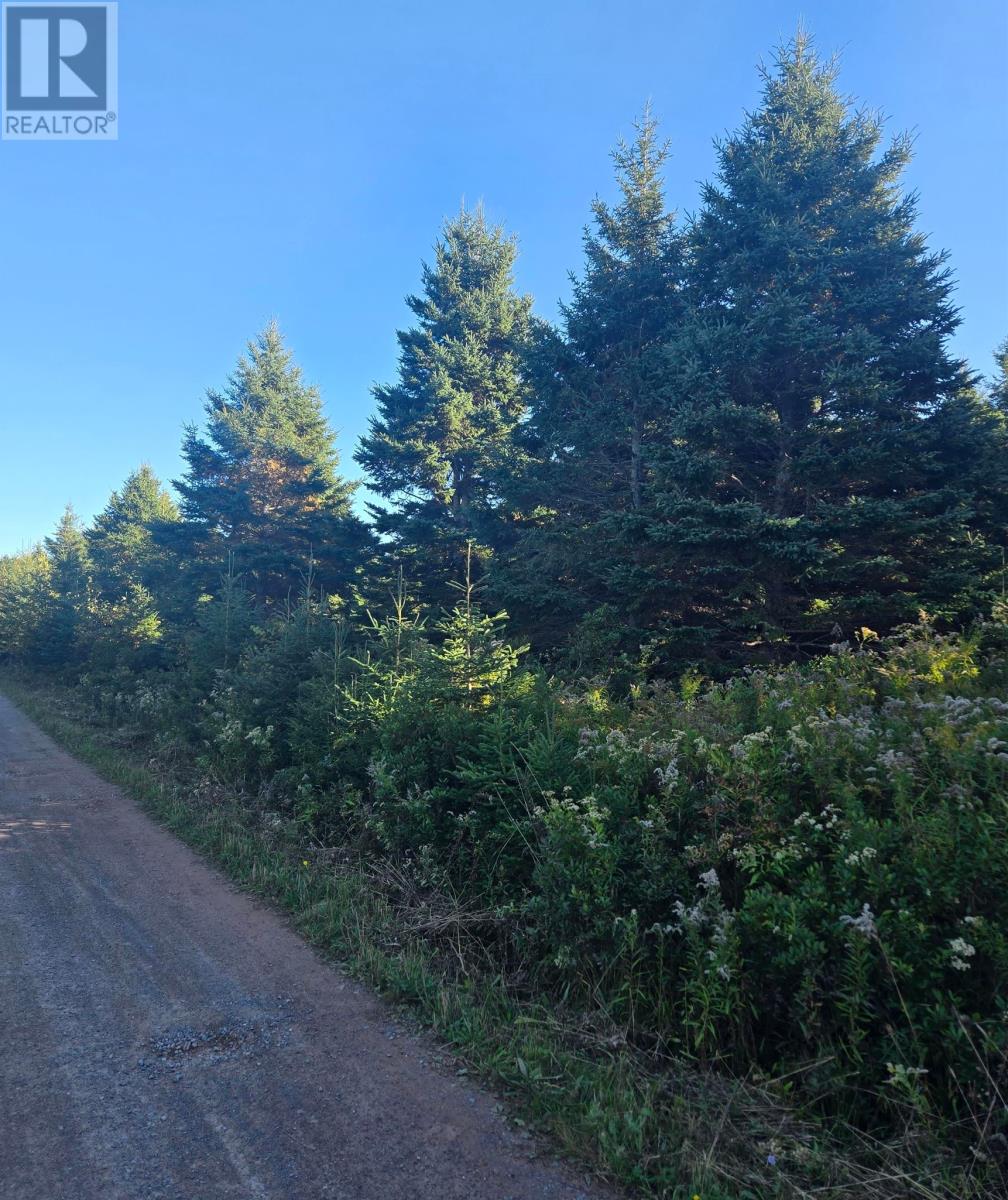 Lot 26 Kenneths Road, Souris West, Prince Edward Island  C0A 2B0 - Photo 4 - 202423841