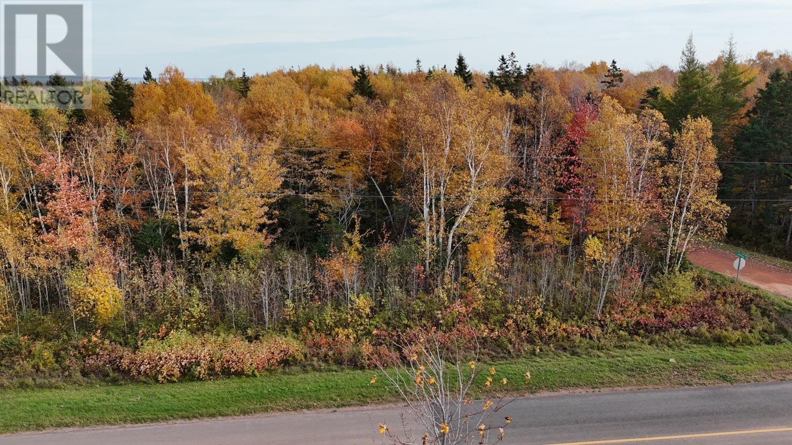 Rte 131 Arlington Road, Arlington, Prince Edward Island  C0B 2C0 - Photo 6 - 202425314