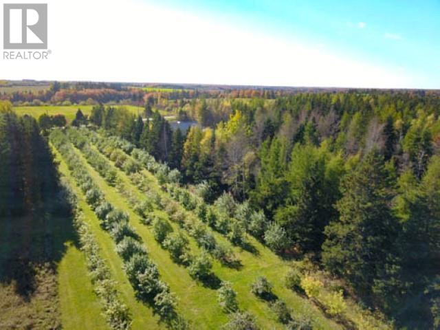 795 Canada Road, Tyne Valley, Prince Edward Island  C0B 2C0 - Photo 48 - 202428136