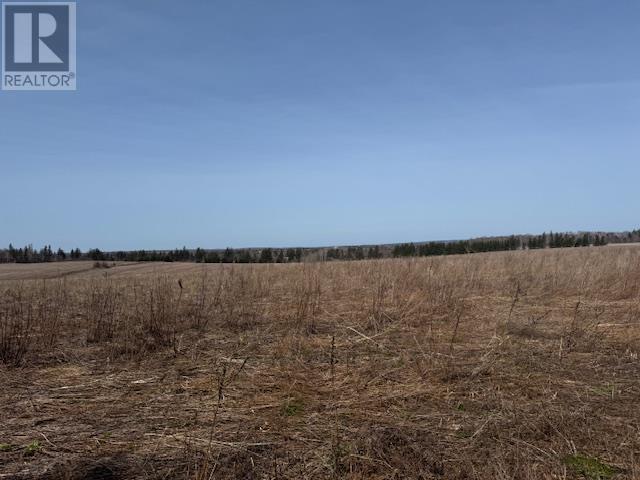 Lot Reid Road, Stanley Bridge, Prince Edward Island  C0A 1E0 - Photo 1 - 202500503
