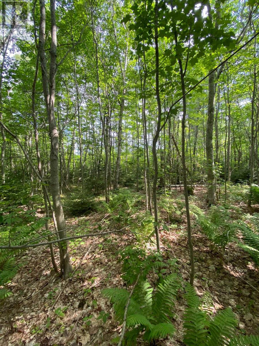 Lot Enmore Shore, Enmore, Prince Edward Island  C0B 1J0 - Photo 10 - 202501551