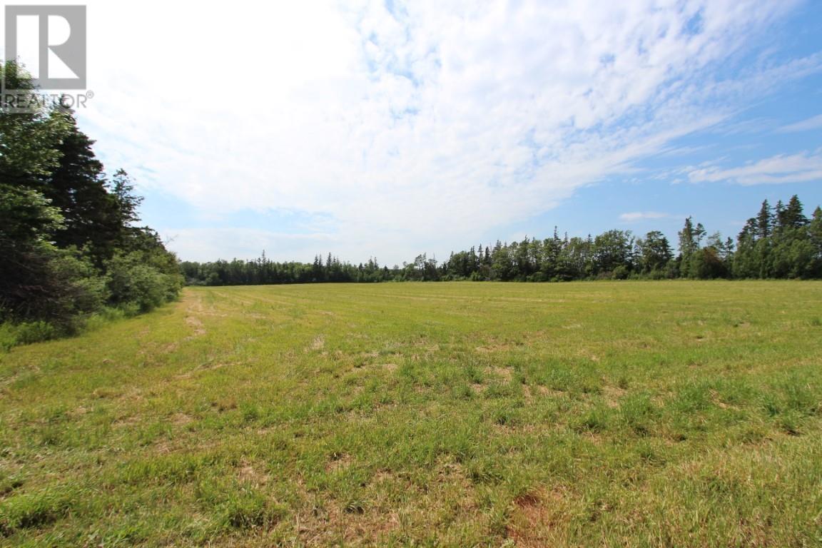 Route 20, Springbrook, Prince Edward Island  C0B 1M0 - Photo 15 - 202502131