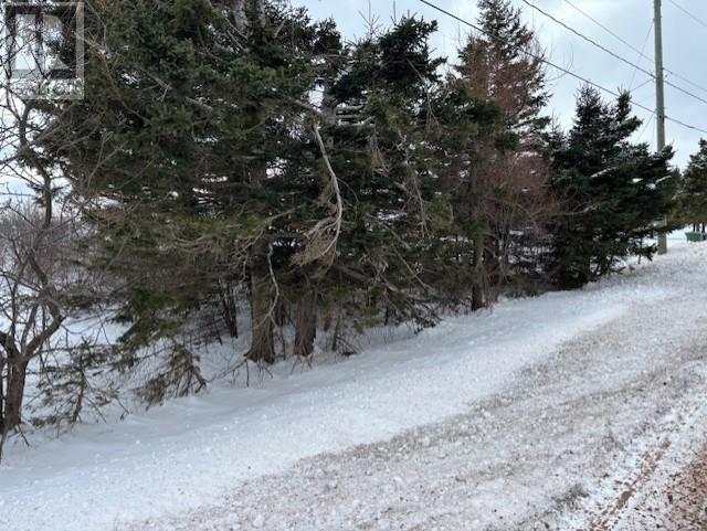 Fort Augustus Road, Route 21, Fort Augustus, Prince Edward Island  C1B 3C1 - Photo 3 - 202502344