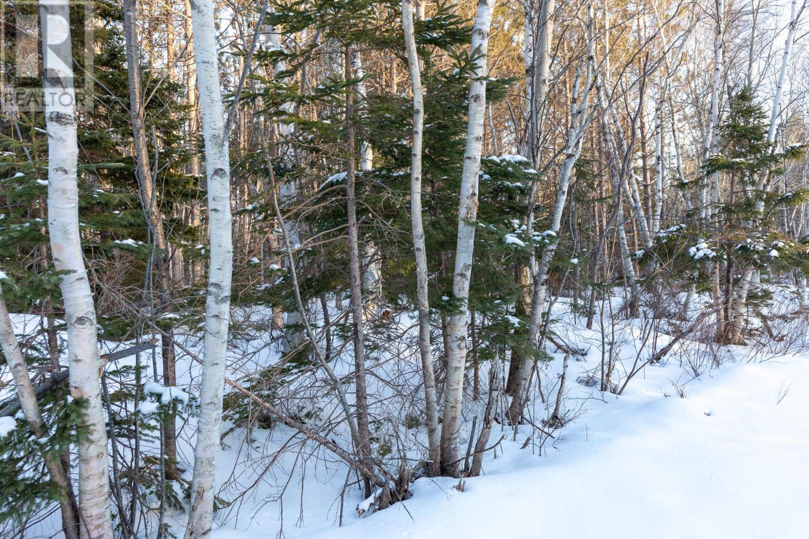 Lot 21 Swallow Point Road, Goose River, Prince Edward Island  C0A 2A0 - Photo 3 - 202502608