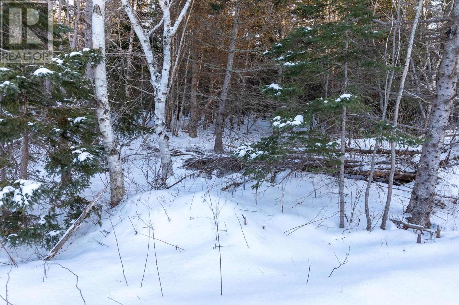 Lot 20 Swallow Point Road, Goose River, Prince Edward Island  C0A 2A0 - Photo 6 - 202502896