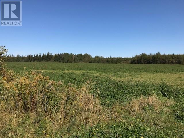Acreage Strathcona Road, Rte 312, Five Houses, Prince Edward Island  C0A 2A0 - Photo 1 - 202502897