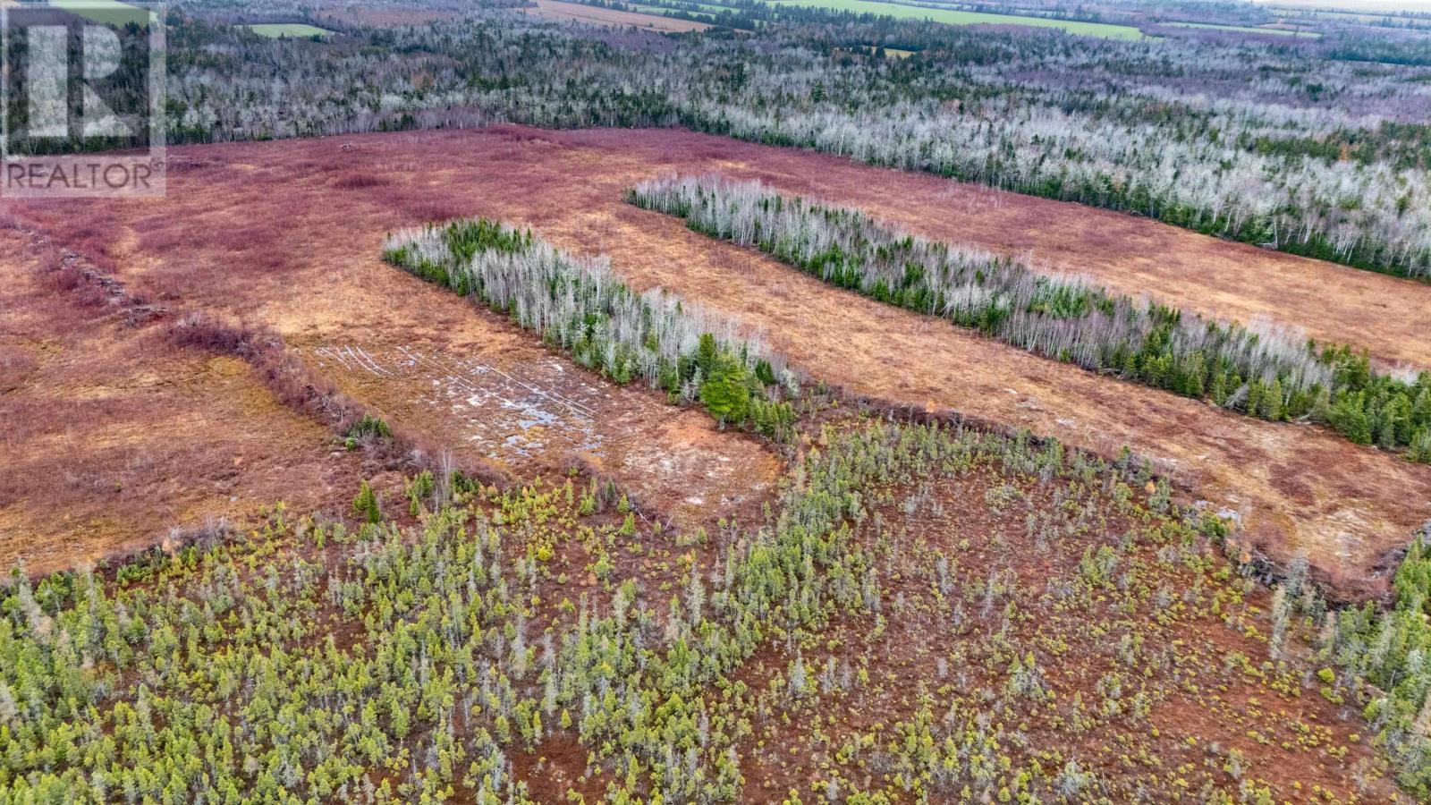 Acreage Line Road, Milltown Cross, Prince Edward Island  C0A 1R0 - Photo 8 - 202427629