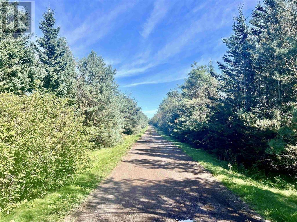 Lot 1 Salt Meadows Gate Lane, Oyster Bed Bridge, Prince Edward Island  C1E 3J2 - Photo 8 - 202503398
