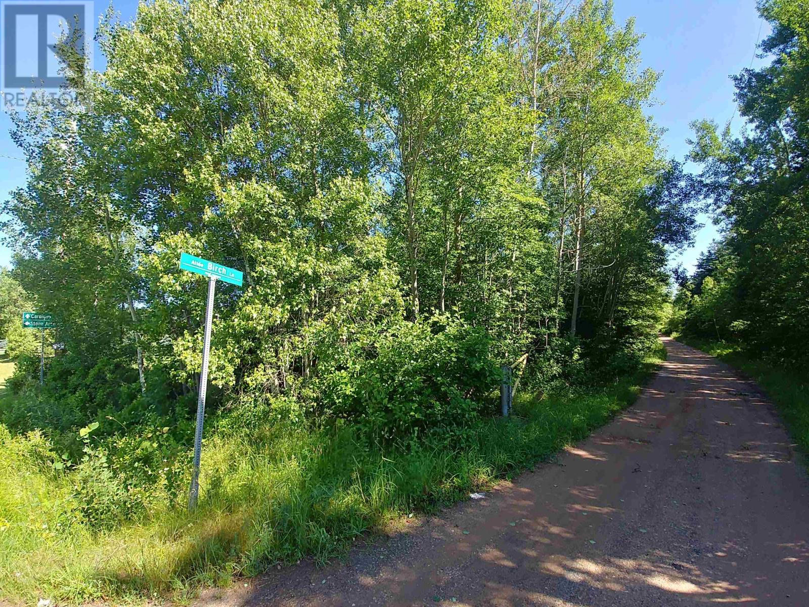 Acreage Birch Lane, Georgetown Royalty, Prince Edward Island  C0A 1L0 - Photo 13 - 202503670