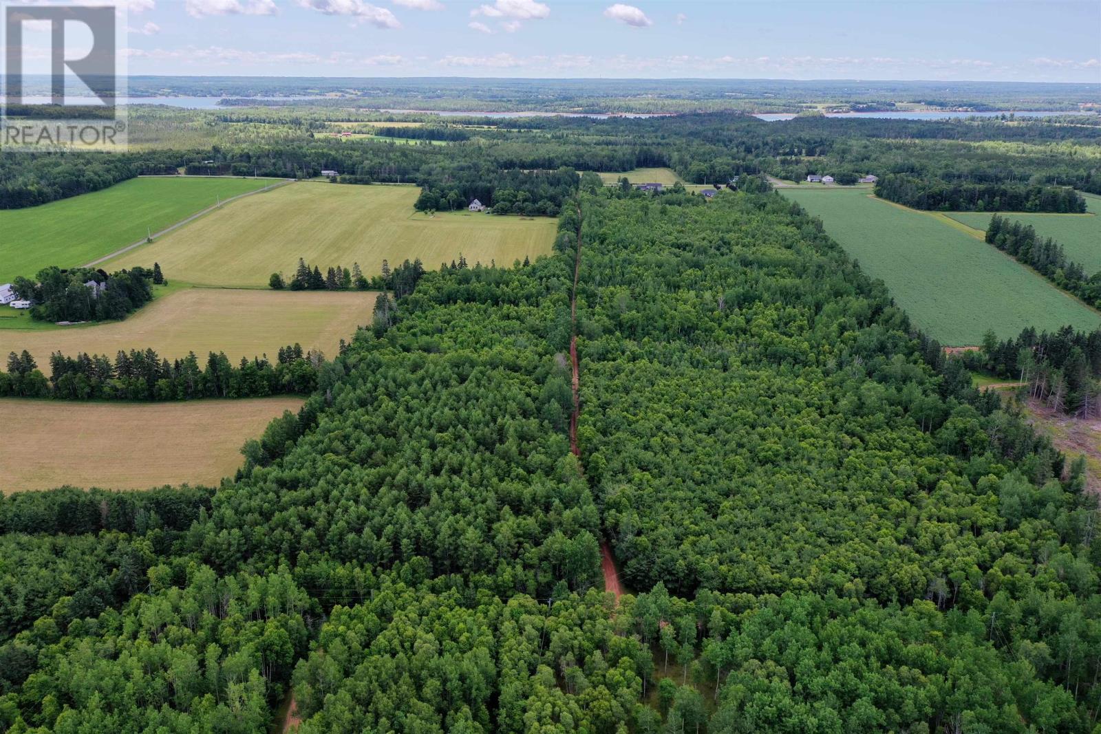 Acreage Birch Lane, Georgetown Royalty, Prince Edward Island  C0A 1L0 - Photo 19 - 202503670