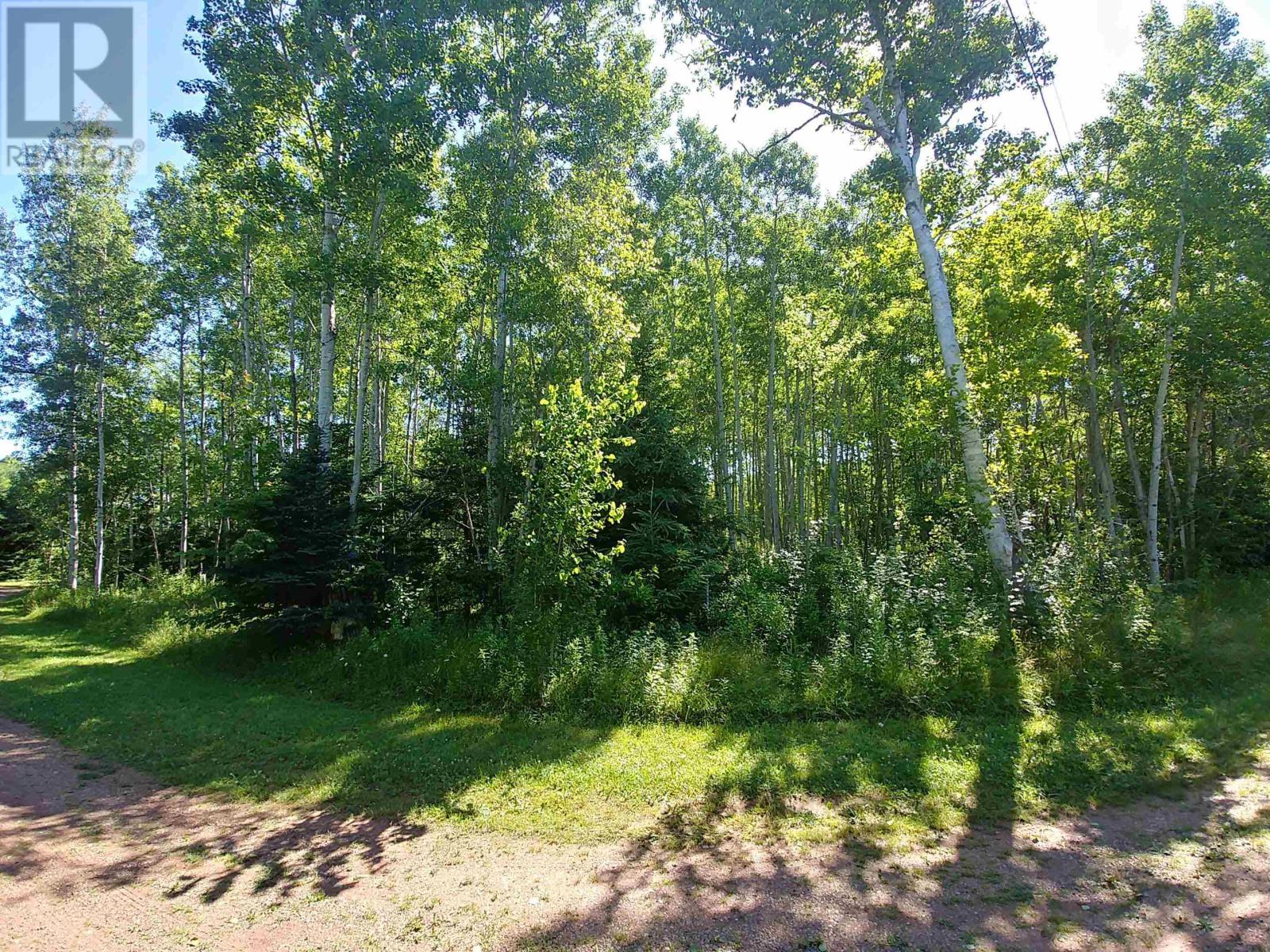 Acreage Birch Lane, Georgetown Royalty, Prince Edward Island  C0A 1L0 - Photo 9 - 202503670