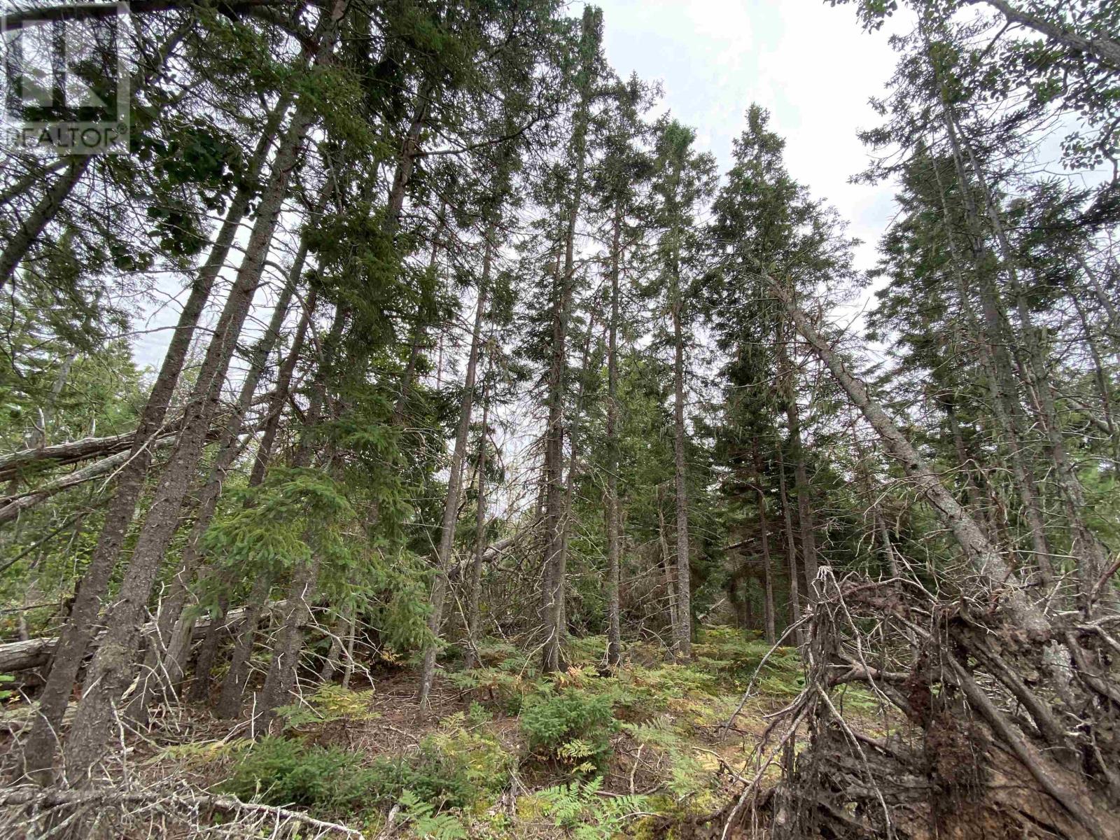 Lot 5 Floating Bridge Road, Murray River, Prince Edward Island  C0A 1W0 - Photo 3 - 202504124
