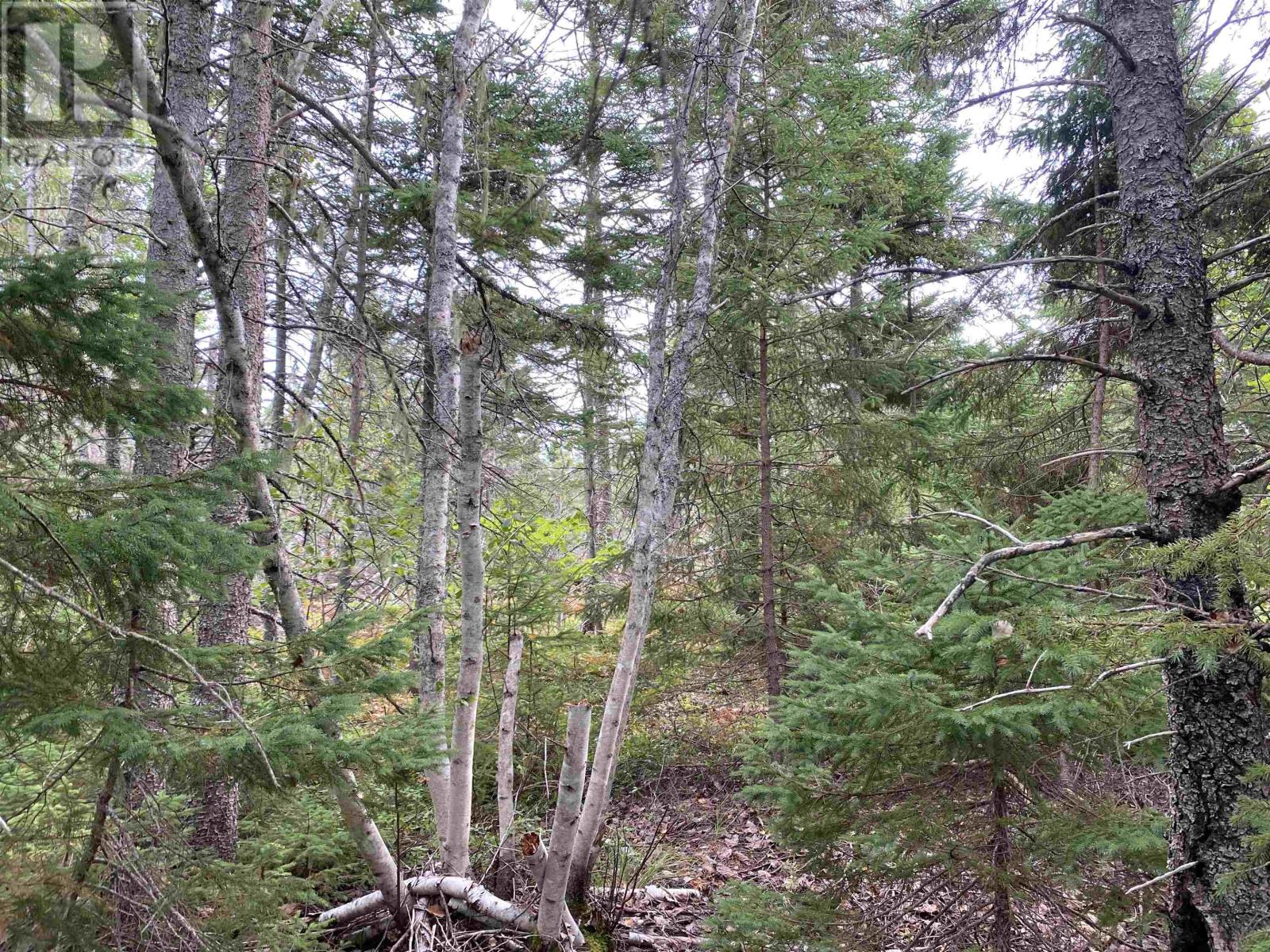Lot 5 Floating Bridge Road, Murray River, Prince Edward Island  C0A 1W0 - Photo 5 - 202504124
