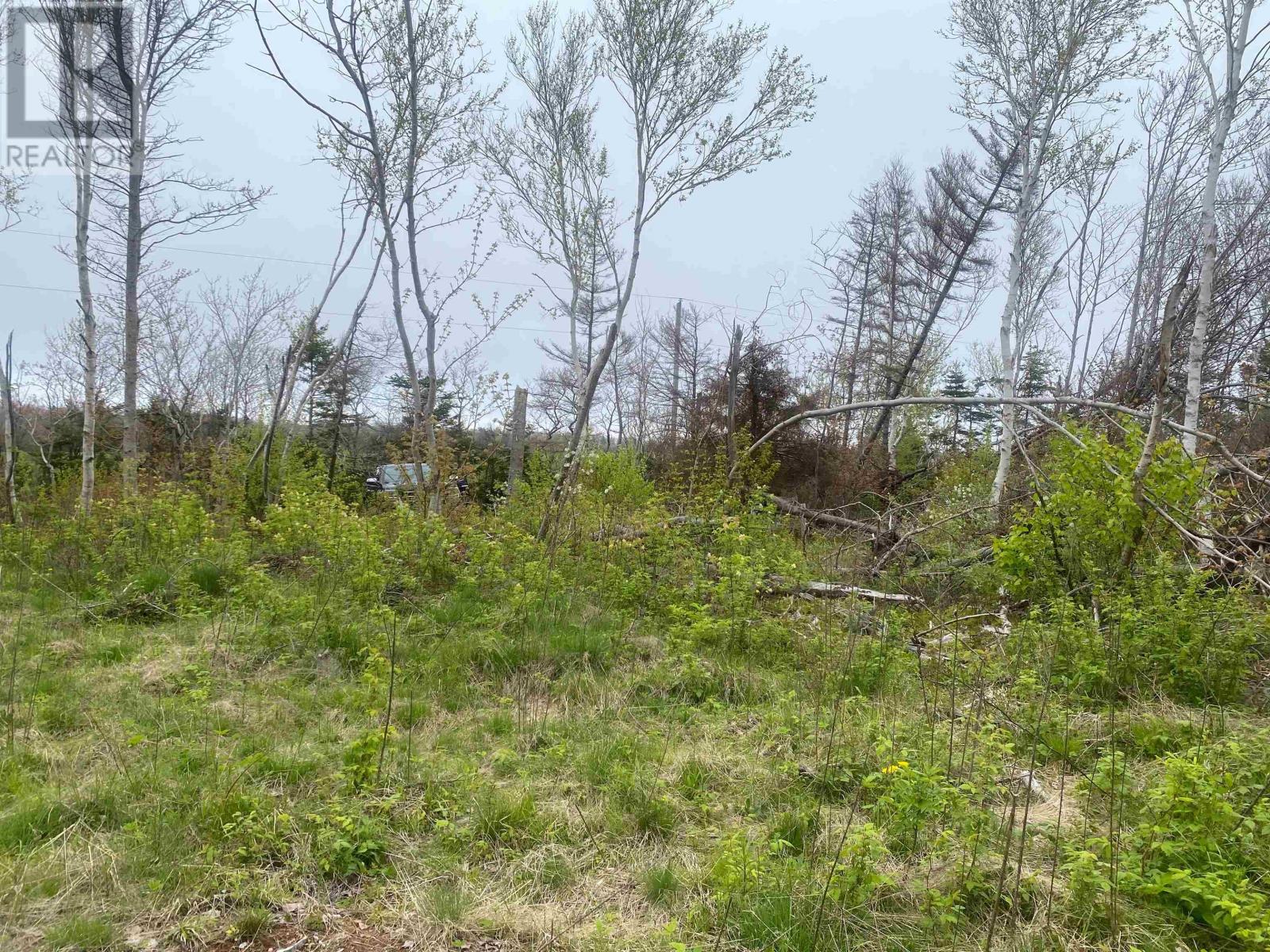 Lot Cape Road, North Rustico, Prince Edward Island  C0A 1X0 - Photo 8 - 202504654