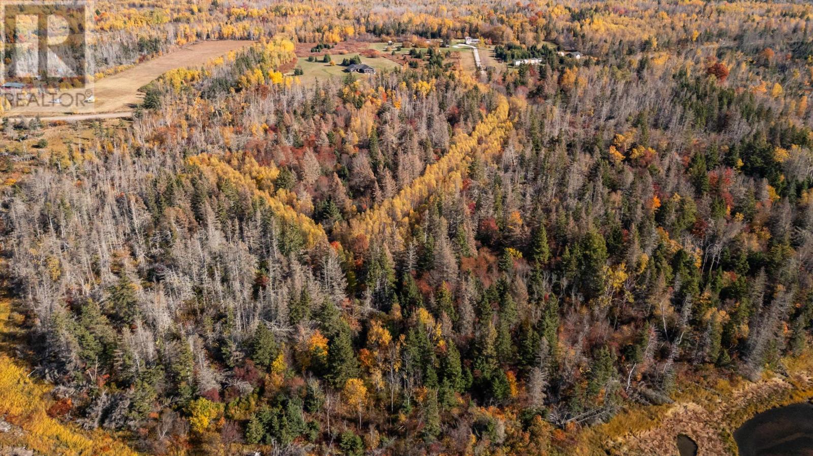 Acreage Canavoy Road, Canavoy, Prince Edward Island  C0A 1T0 - Photo 24 - 202505096
