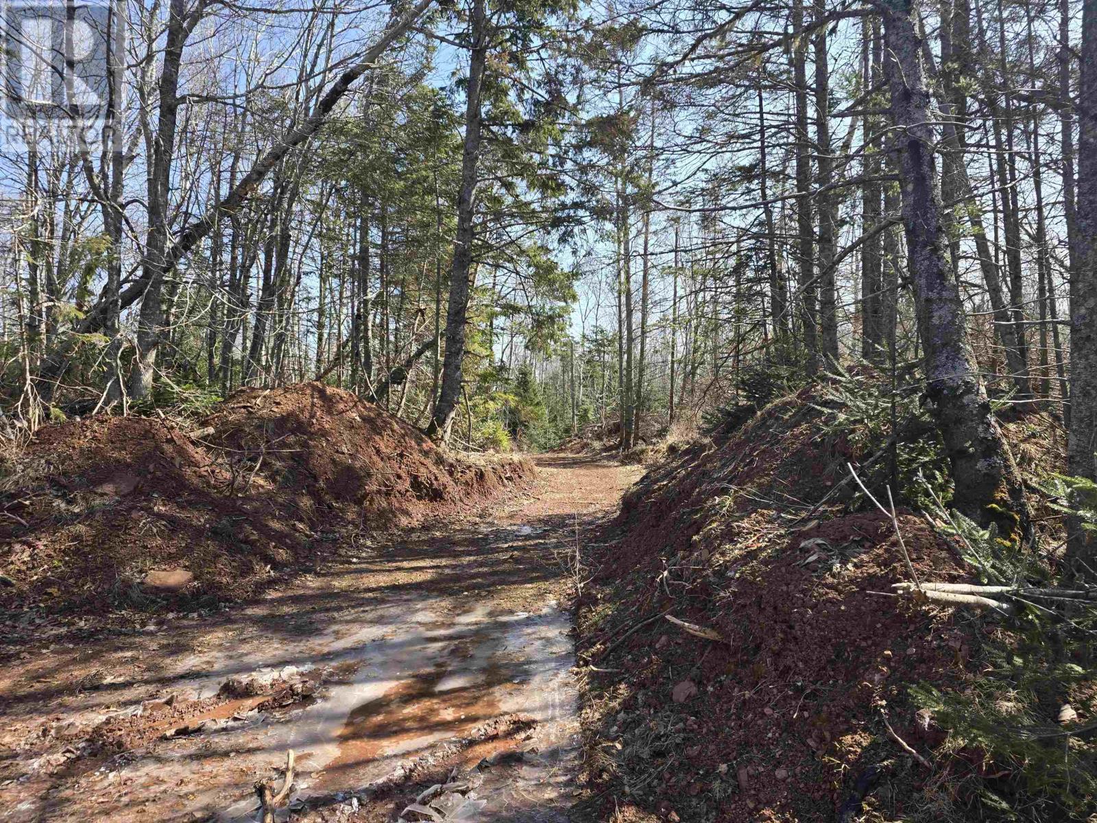 Lot 24-1 Off Irishtown Road, Irishtown, Prince Edward Island  C0M 1M0 - Photo 3 - 202506339