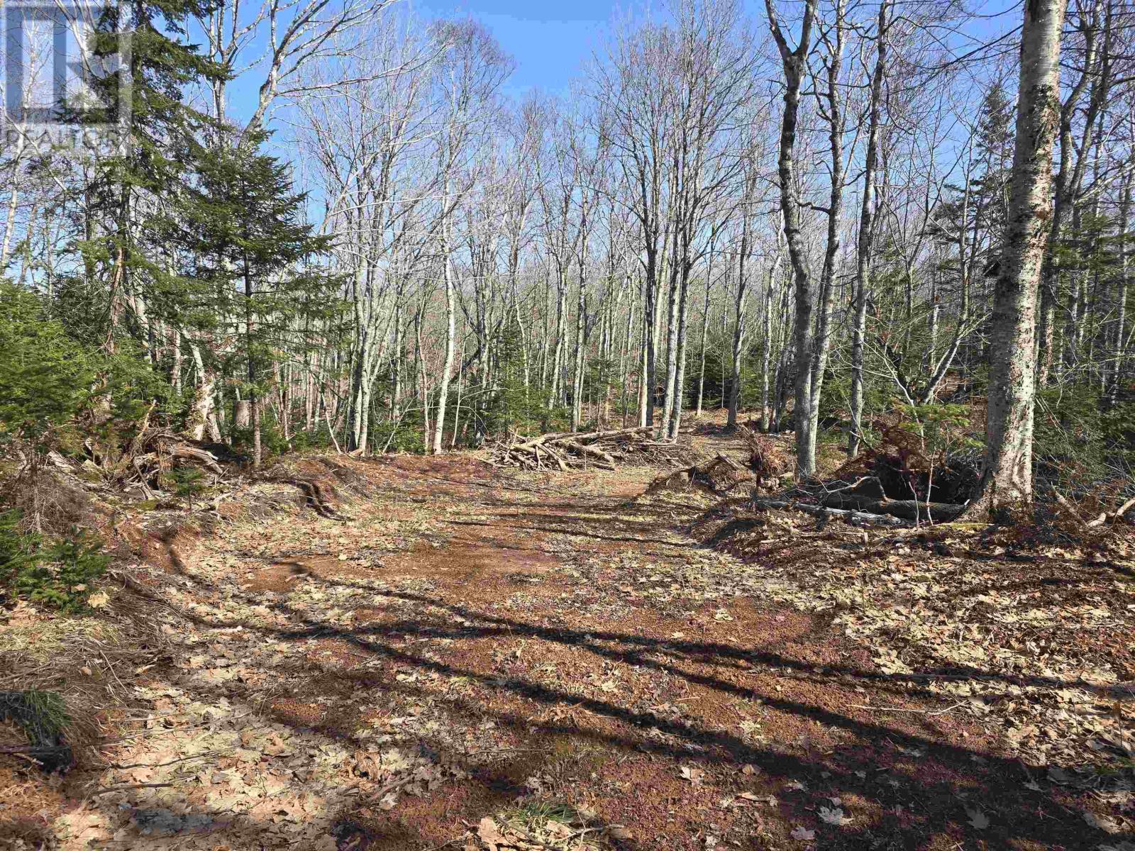 Lot 24-1 Off Irishtown Road, Irishtown, Prince Edward Island  C0M 1M0 - Photo 4 - 202506339