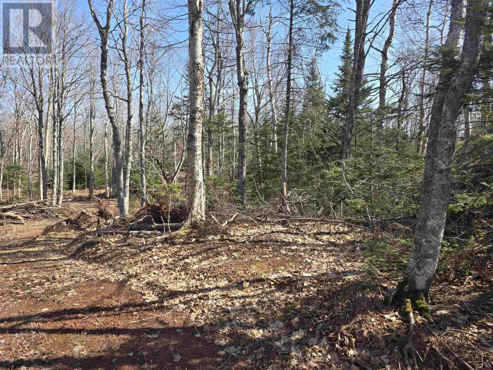 Lot 24-1 Off Irishtown Road, Irishtown, Prince Edward Island  C0M 1M0 - Photo 5 - 202506339
