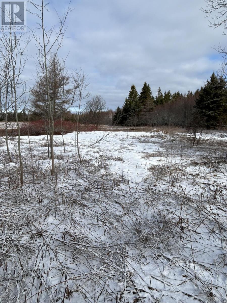 Lot Baltic Road, East Baltic, Prince Edward Island  C0A 2B0 - Photo 1 - 202506693
