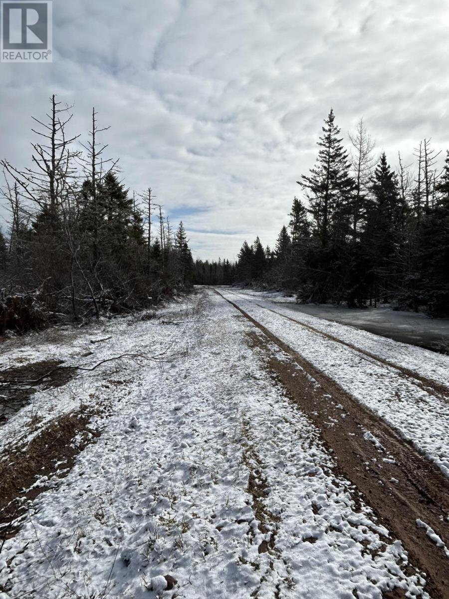 Lot Baltic Road, East Baltic, Prince Edward Island  C0A 2B0 - Photo 7 - 202506693
