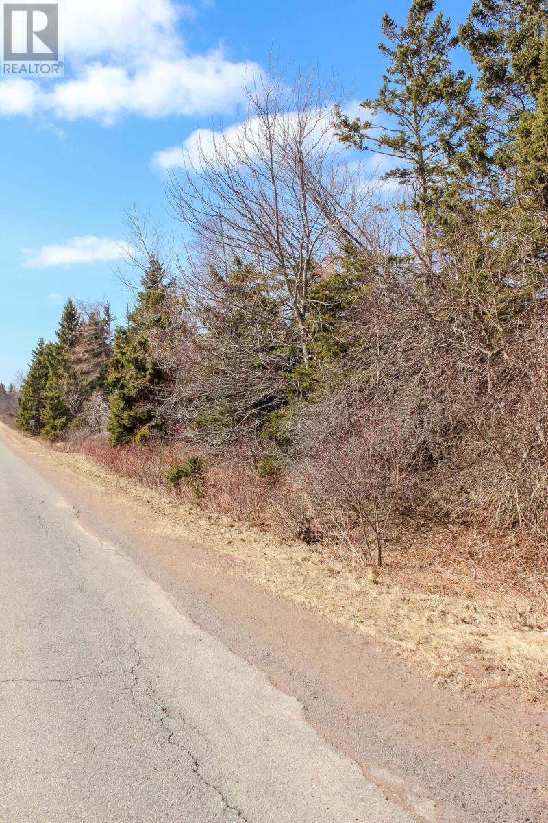 Peters Road, Peters Road, Prince Edward Island  C0A 1R0 - Photo 4 - 202506737