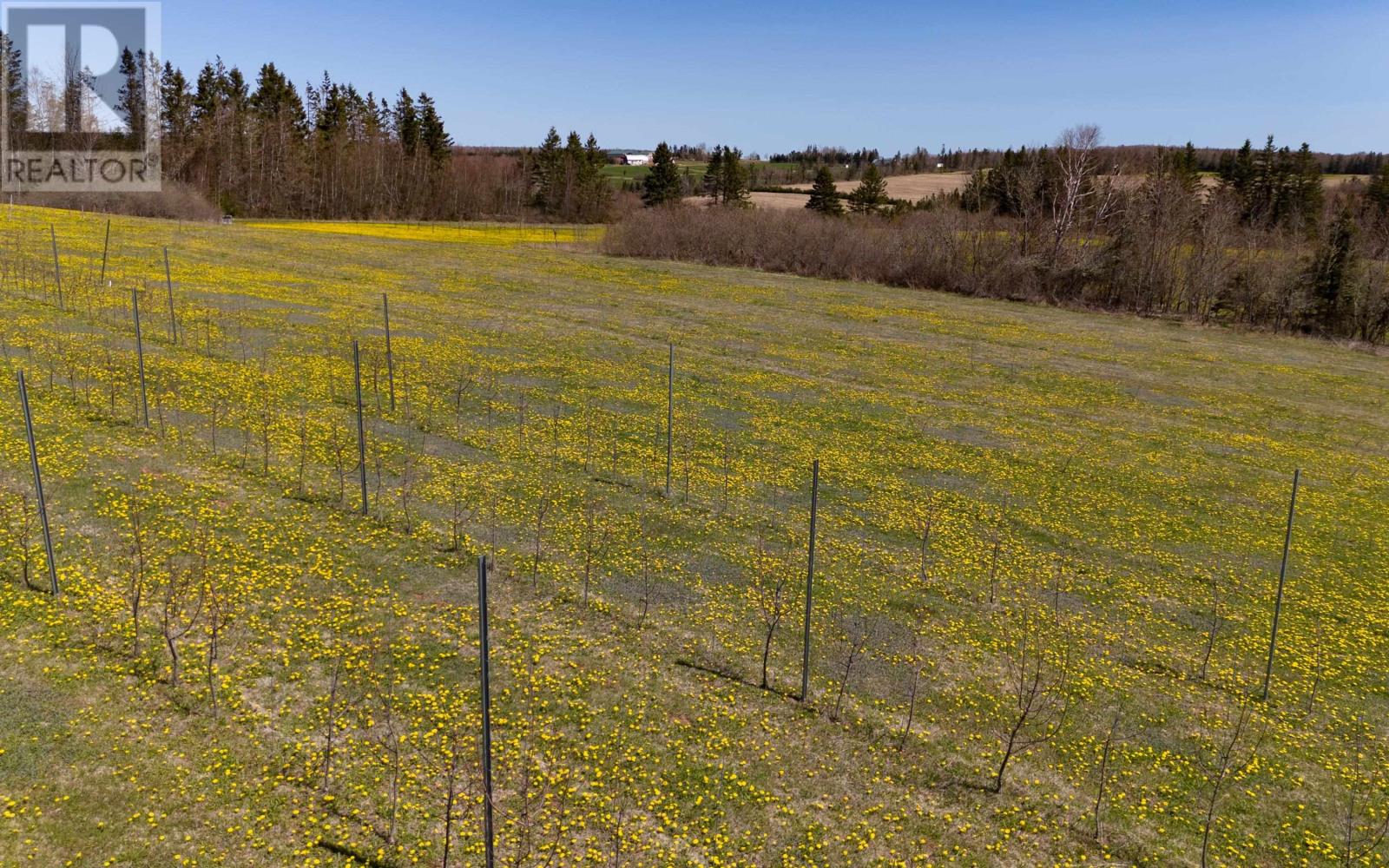 584 Riverdale Road, Riverdale, Prince Edward Island  C0A 1C0 - Photo 35 - 202509412