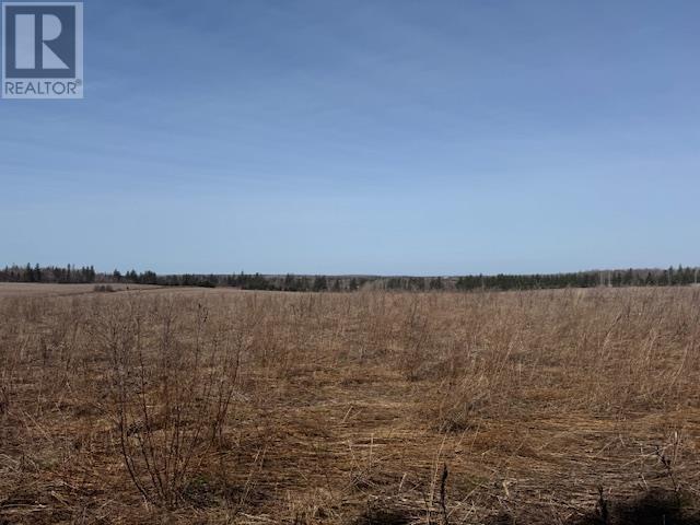 Lot 2 Reid Road, Stanley Bridge, Prince Edward Island  C0A 1E0 - Photo 3 - 202509956