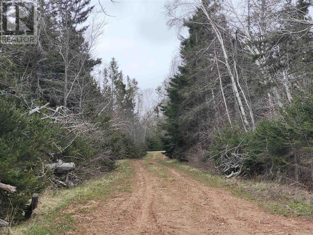 Tbd Hazels Way, Gaspereau, Prince Edward Island  C0A 1R0 - Photo 1 - 202510111