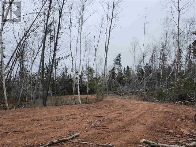 Tbd Hazels Way, Gaspereau, Prince Edward Island  C0A 1R0 - Photo 6 - 202510111