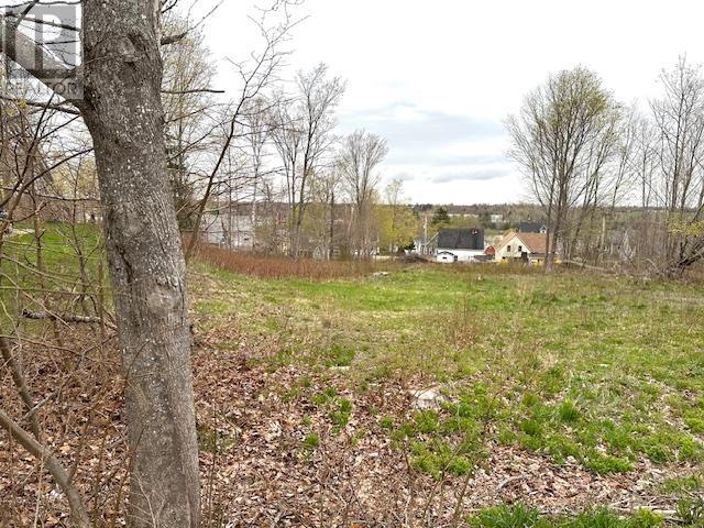 Lot Willow Street, Montague, Prince Edward Island  C0A 1R0 - Photo 4 - 202510597
