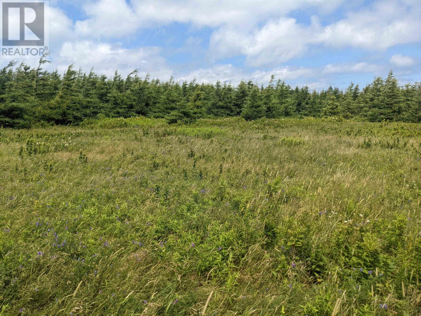 Lot 16 Osprey Lane, Malpeque, Prince Edward Island  C0B 1M0 - Photo 6 - 202510783