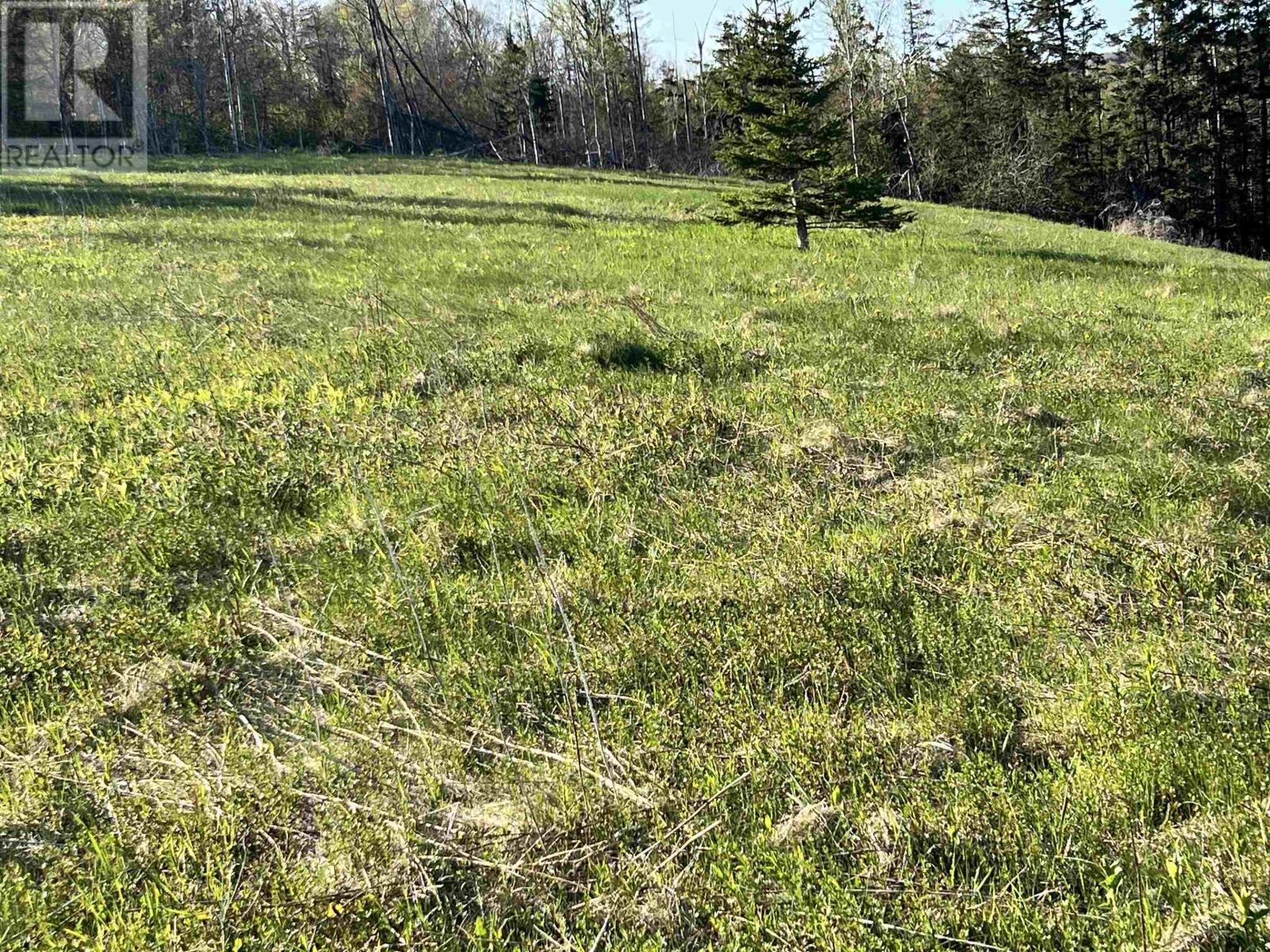 Tbd Monument Road, Stanchel, Prince Edward Island  C0A 1Y0 - Photo 11 - 202512521