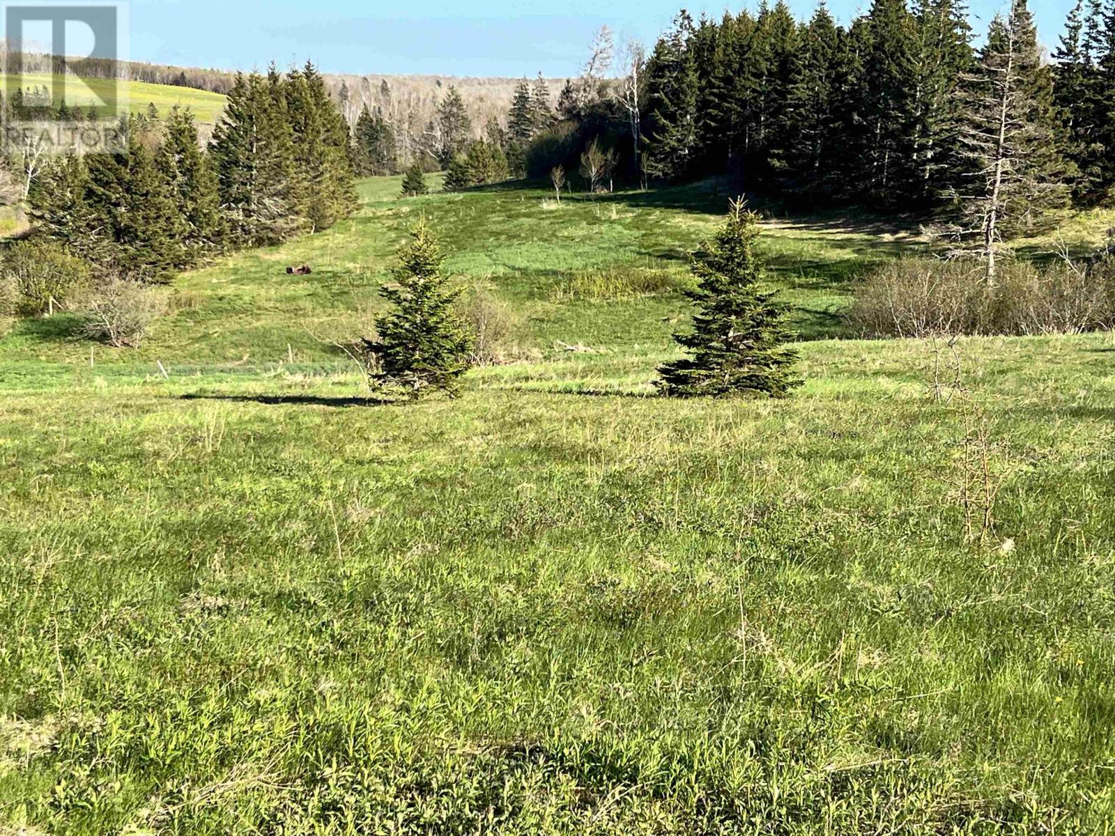 Tbd Monument Road, Stanchel, Prince Edward Island  C0A 1Y0 - Photo 13 - 202512521