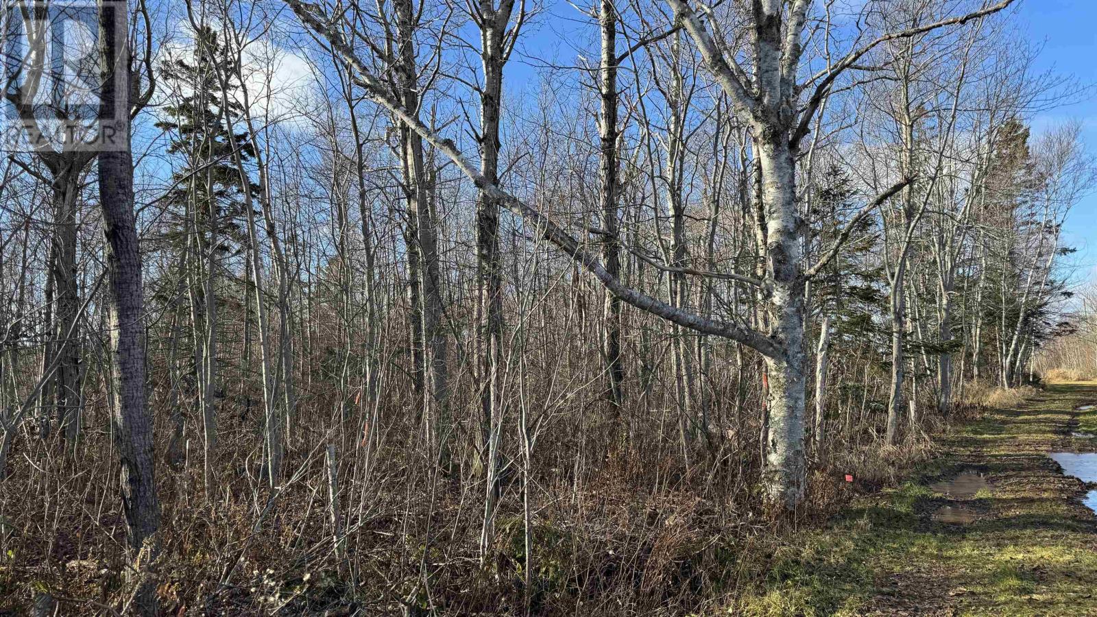 Lot 23-1  0 Isidore Lane, Union Corner, Prince Edward Island  C0B 2E0 - Photo 13 - 202512802