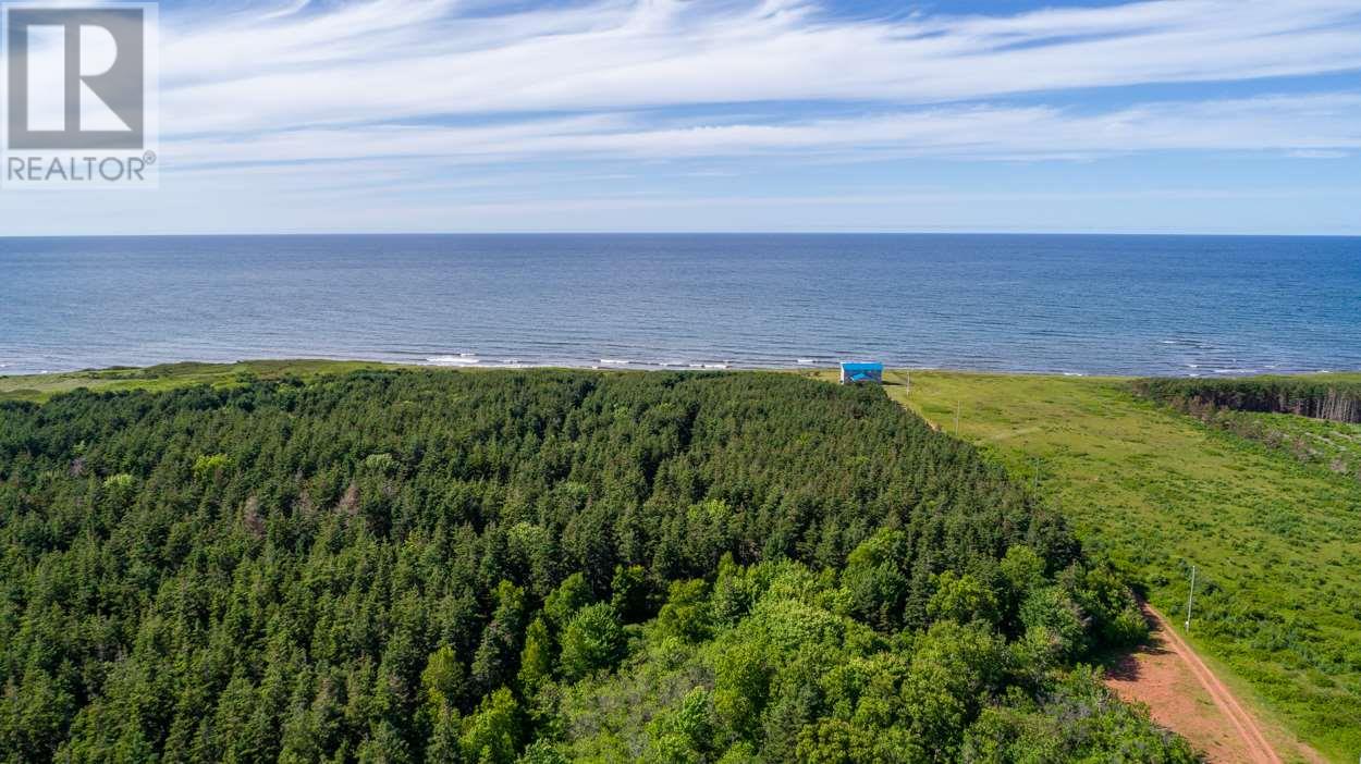 1 Willow Lane, Priest Pond, Prince Edward Island  C0A 2B0 - Photo 13 - 202514119
