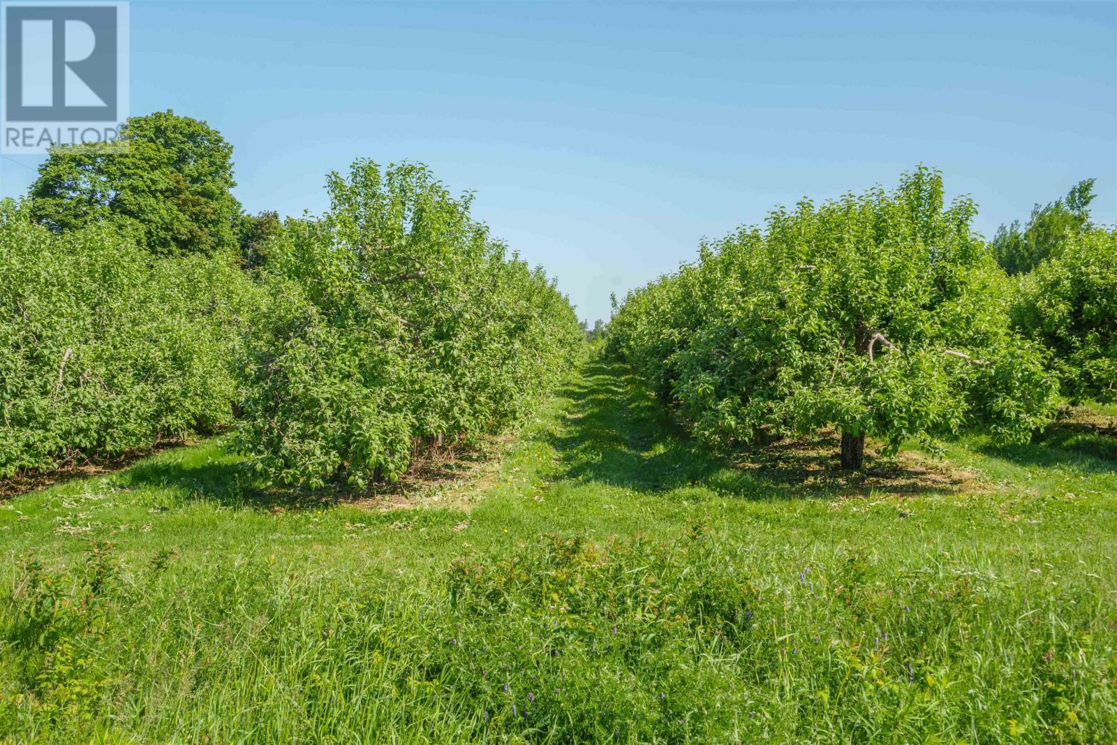513 Rte 17, Lower Montague, Prince Edward Island  C0A 1R0 - Photo 32 - 202515262